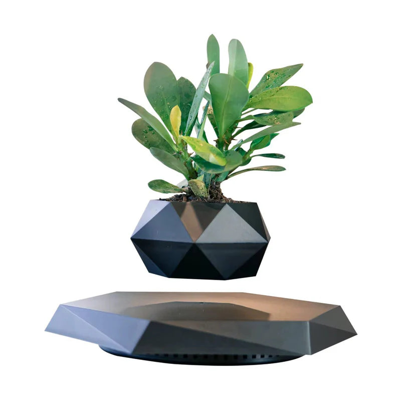 Levitating - Bonsai Planter Pot